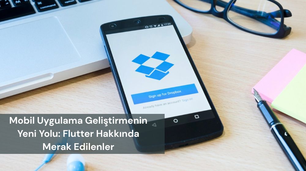 Flutter Widget Flutter Widget